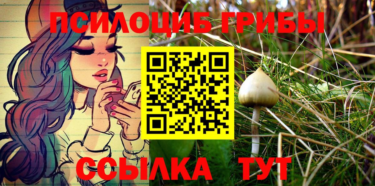 Галлюциногенные грибы Magic Shrooms Еманжелинск